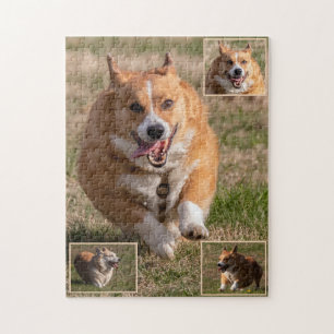 Lycklig Ansikte Running Corgis Pussel