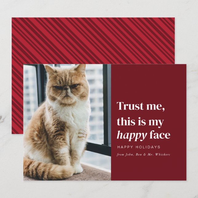 Lycklig Ansikte-stift Pet-kort för julfotboll, Hel Julkort (Fram/baksida)