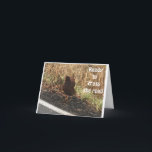 "LYCKLIG APRIL BIRTHDAY" CA KORT<br><div class="desc">VILKET ROLIGT-KORT!!!!!!! OCH DET ÄR SÅ SPECIELLT ATT DET ÄR FÖR DEN EXAKTA MÅNADEN AV HANS ELLER HENNES FÖDELSEDAG! TACK FÖR ATT BÖRJA MED ETT AV MINA ÅTTA LAGER!!!!</div>