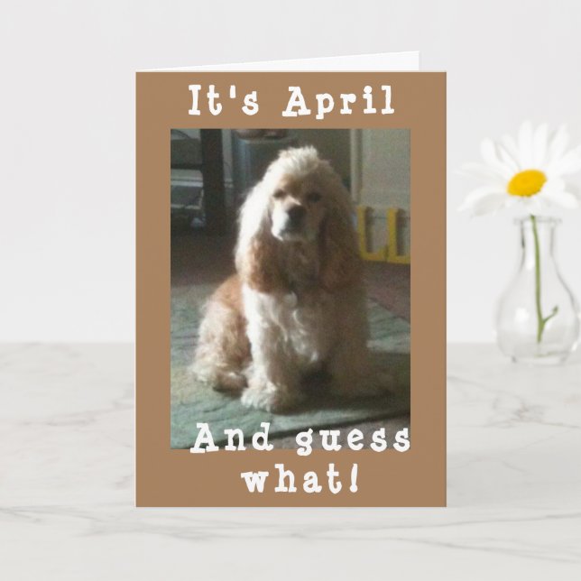 LYCKLIG *APRIL* BIRTHDAY FRÅN CUTE COCKER SPANIEL KORT (Liten växt)