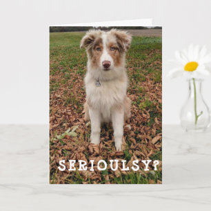 LYCKLIG *APRIL* BIRTHDAY FRÅN EN MYCKET SMART AUSS KORT