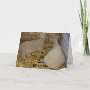 LYCKLIG ÄR DET "VÅR BIRTHDAY" KORT