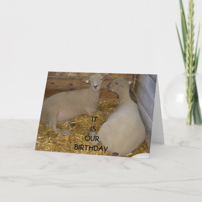 LYCKLIG ÄR DET "VÅR BIRTHDAY" KORT (Framsida)