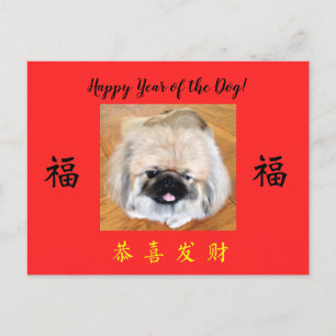 Lycklig år för Hund Pekingese CNY-vykort Helg Vykort