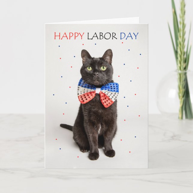 Lycklig arbetsdag för patriotisk katt i Bow Tie Hu Helgkort (Framsida)