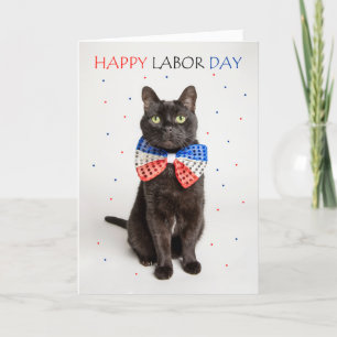 Lycklig arbetsdag för patriotisk katt i Bow Tie Hu Helgkort