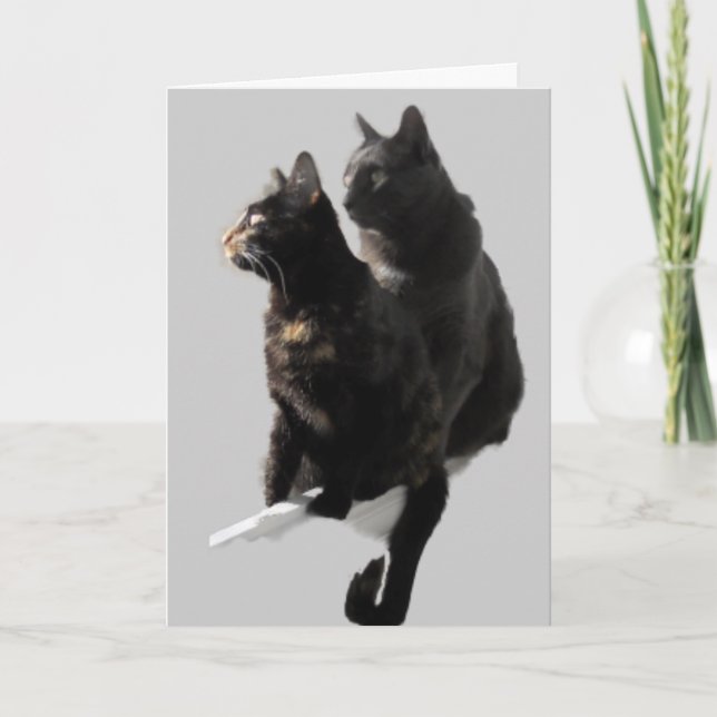 Lycklig-årsdag Kat par Kort (Framsida)