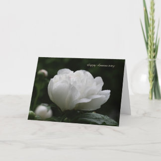 Lycklig-årsdagen Kort