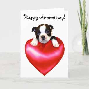 Lycklig-årsjubileet Boston Terrier Greeting Card Kort