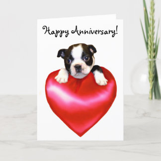 Lycklig-årsjubileet Boston Terrier Greeting Card Kort