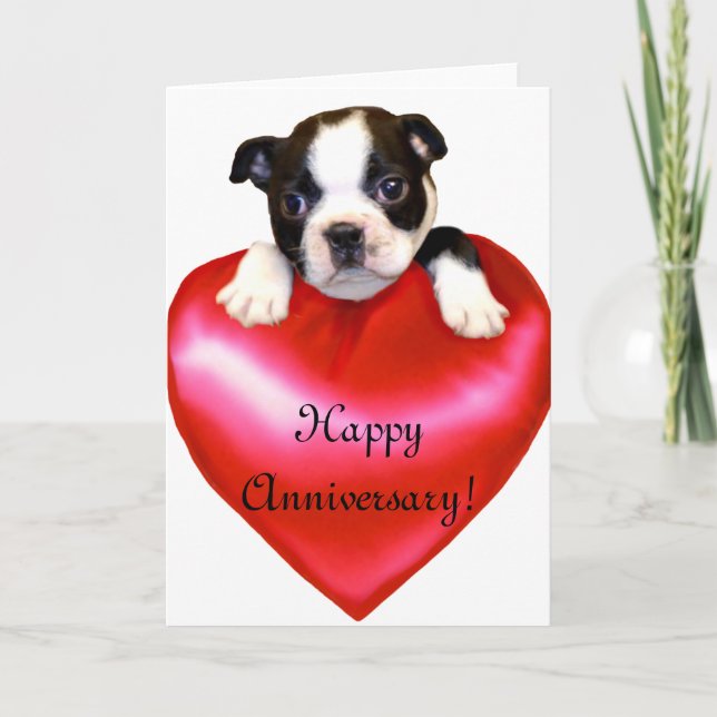 Lycklig-årsjubileet Boston Terrier Greeting Card Kort (Framsida)