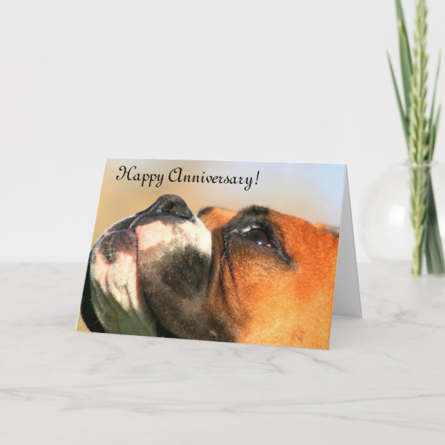 Lycklig-årsjubileet Boxer Hund Greeting Card Kort (Framsida)