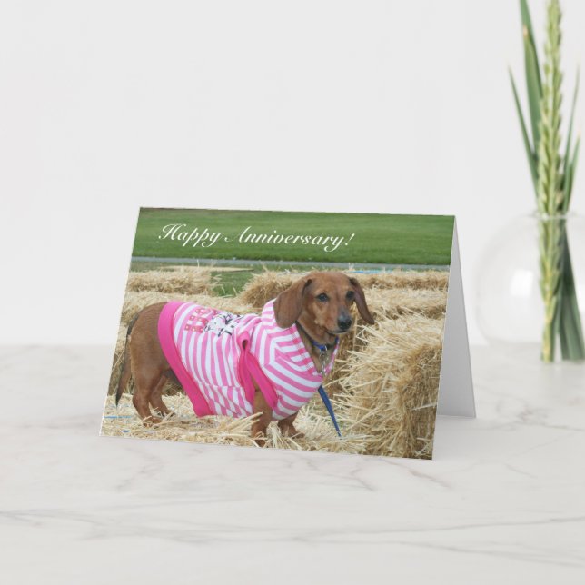 Lycklig-årsjubileet Dachshund-hälsningskort Kort (Framsida)