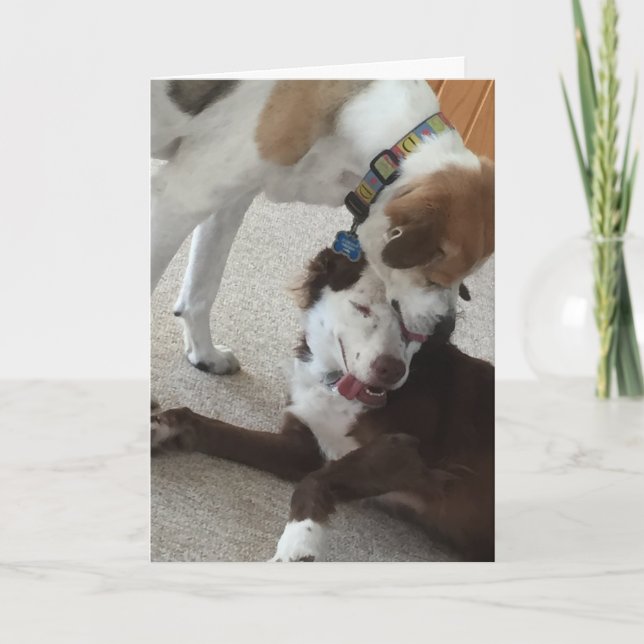 Lycklig-årskort, hundar är tillgivenhet. kort (Framsida)