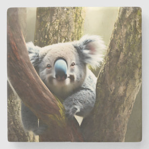 Lycklig Australian Koala Bear i Träd, Stone Underl Stenunderlägg