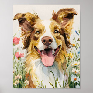 Lycklig Australian shepherd i Blommor - Vattenfärg Poster