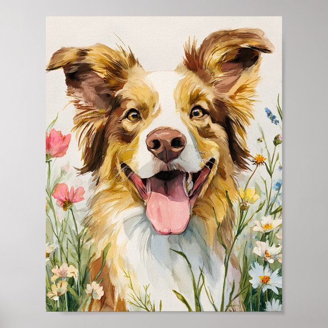 Lycklig Australian shepherd i Blommor - Vattenfärg Poster (Framsidan)