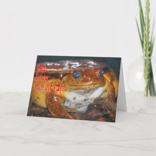 Lycklig Bday Frog-Lookin Bra Kort