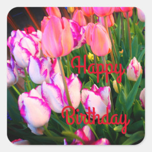 Lycklig Bday Tulips Peace Flame & Affaire #2 Fyrkantigt Klistermärke
