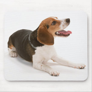 Lycklig Beagle Mousepad Musmatta
