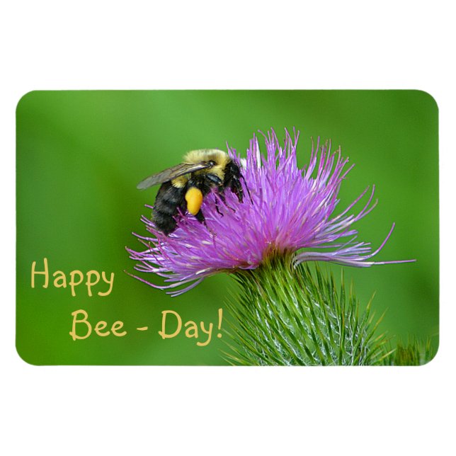 Lycklig Bee Day Magnet (Horisontell)