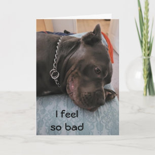 LYCKLIG BELAGDA BIRTHDAY - FEEL SO GUILTY  KORT