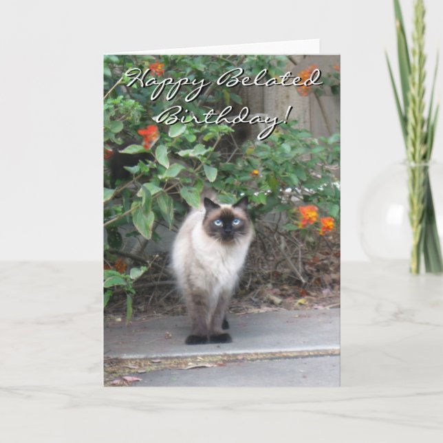 Lycklig Belastad Birthday Himalayan Mix cat Kort (Framsida)