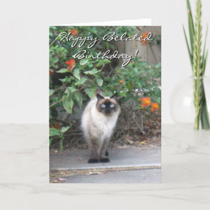 Lycklig Belastad Birthday Himalayan Mix cat Kort