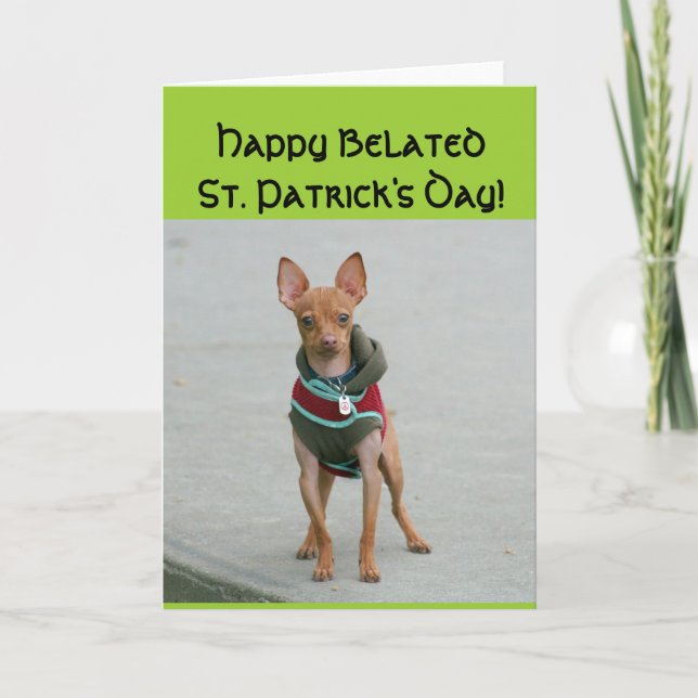 Lycklig Belated St patrick's day Chihuahua-kort Kort (Framsida)