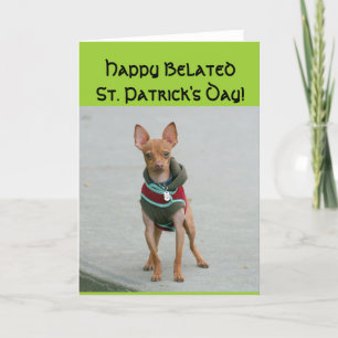 Lycklig Belated St patrick's day Chihuahua-kort Kort