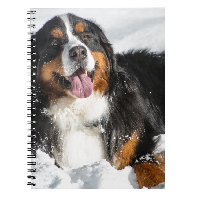 Lycklig Bernese berghund i vintersnö Anteckningsbok (Framsidan)