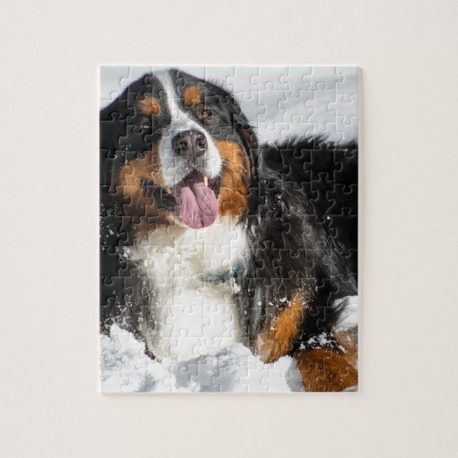Lycklig Bernese berghund i vintersnö Pussel (Vertikal)