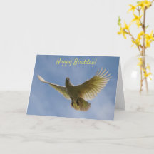 Lycklig Bird Day Birthday Cockatoo Flygande Austra