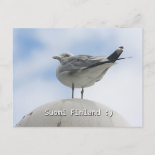 Lycklig Bird Vykort