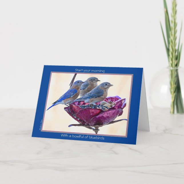 Lycklig BirdDay! Kort: Skadat bluebirds-kort Kort (Framsida)
