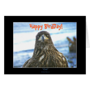 Lycklig BirdDay! Örn Hälsning-kort OBS Kort