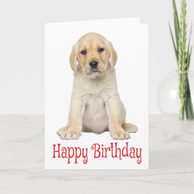 Lycklig Birthda Gult Labrador Retriever Puppy Hund Kort (Framsida)