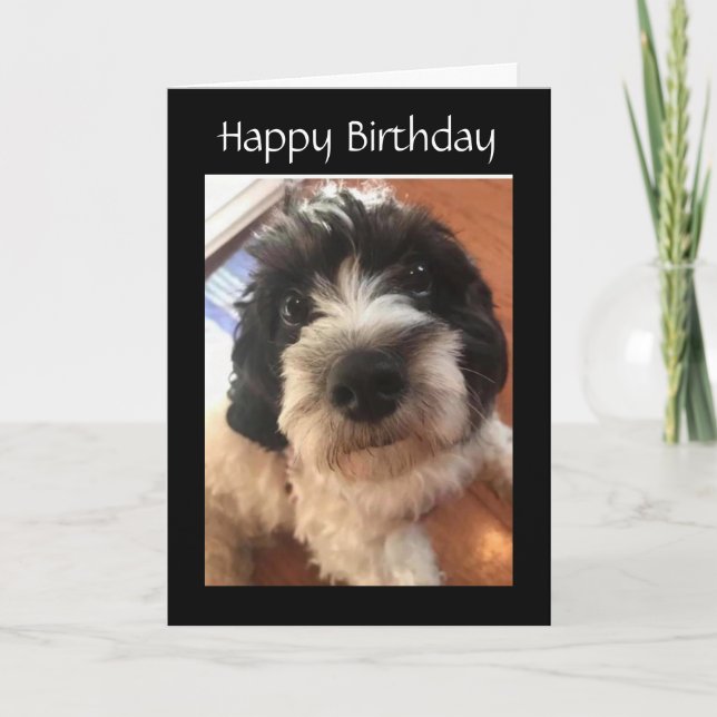 LYCKLIG *BIRTHDAY* DU GÖR MY SVAN WAG KORT (Framsida)