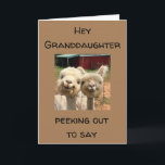 LYCKLIG * BIRTHDAY* **GRANDDAUGHTER** KORT<br><div class="desc">FÖR MIG ***GRANDDAUGHTER*** GRATTIS PÅ FÖDELSEDAGEN OCH TACK FÖR STOPPNING AV ETT AV MINA ÅTTA STOPPAR!!!!</div>