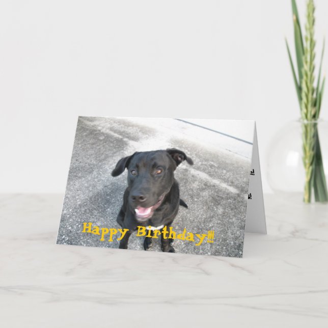 Lycklig Black Labrador Kort (Framsida)