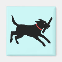 Lycklig Black Labrador Retriever | Körs Svart lab