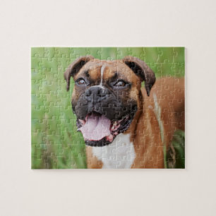 Lycklig Boxer 8x10 Pussel
