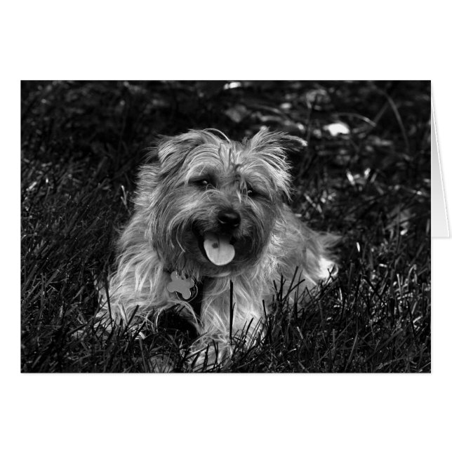 Lycklig Boy Card Hälsningskort (Framsidan Horizontal)