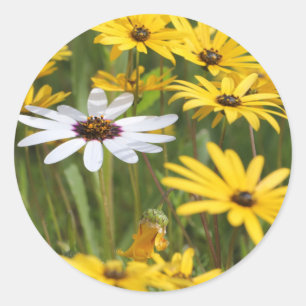 Lycklig Bright Gula blommor Wedding Favor Sticker Runt Klistermärke