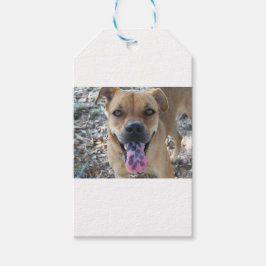 Lycklig Brown hund med fläckig tunga Presentetikett