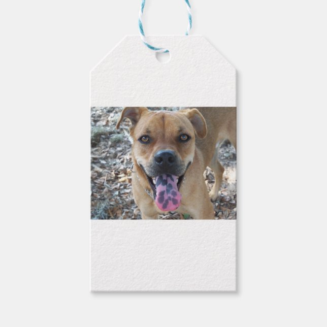 Lycklig Brown hund med fläckig tunga Presentetikett (Framsidan)