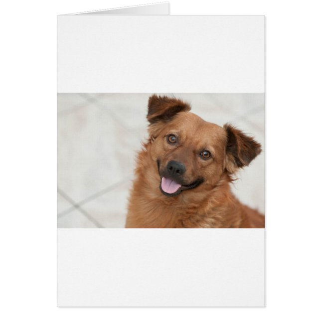 Lycklig Brown Puppy Hund Hälsningskort (Framsidan)