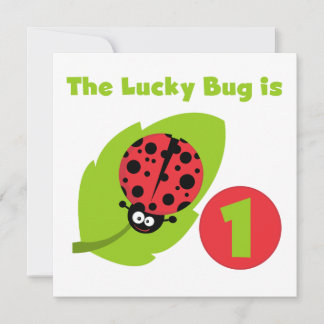 Lycklig  Bug 1-års födelsedags t-shirts och presen Inbjudningar