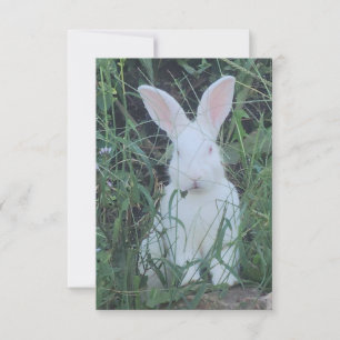 Lycklig Bunny Tack Kort
