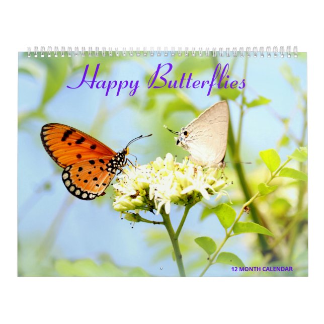Lycklig Butterflies Kalender (Omslag)